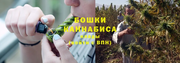 крисы Анива