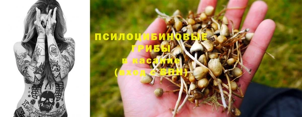 твердый Кодинск